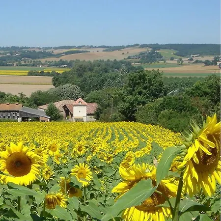 La Roulotte De Migou Larrazet